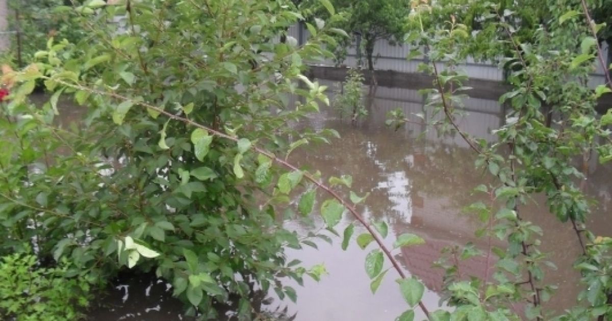 Через сильний дощ підтопило мікрорайон Бортничі, води було по коліно, затопило сараї та будинки. / © Gazeta.ua