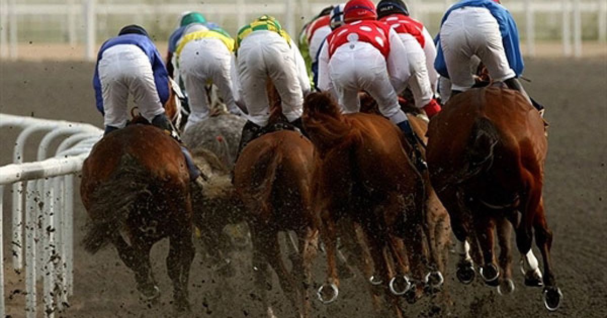 Об&#039;єднані Арабські Емірати, Дубай. В ОАЕ відбувся Кубок світу Dubai Kahayla Classic. / © AFP