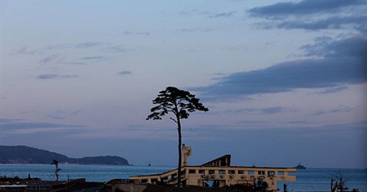 Японія, Рікузентаката. Сосна височить на уламками будинків у місті Рікузентаката, яке було зруйноване цунамі 11 березня 2011 року. Експорт в Японії скоротився вперше за 16 місяців після руйнівного землетрусу і цунамі. / © AFP