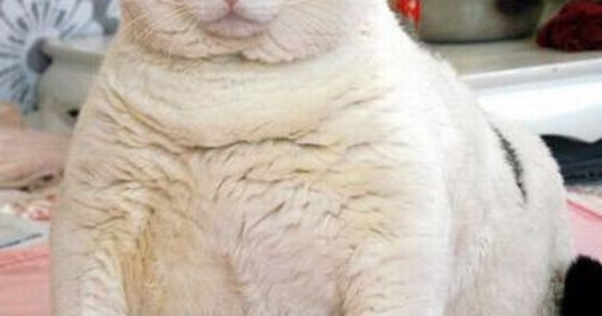 Ілюстрація