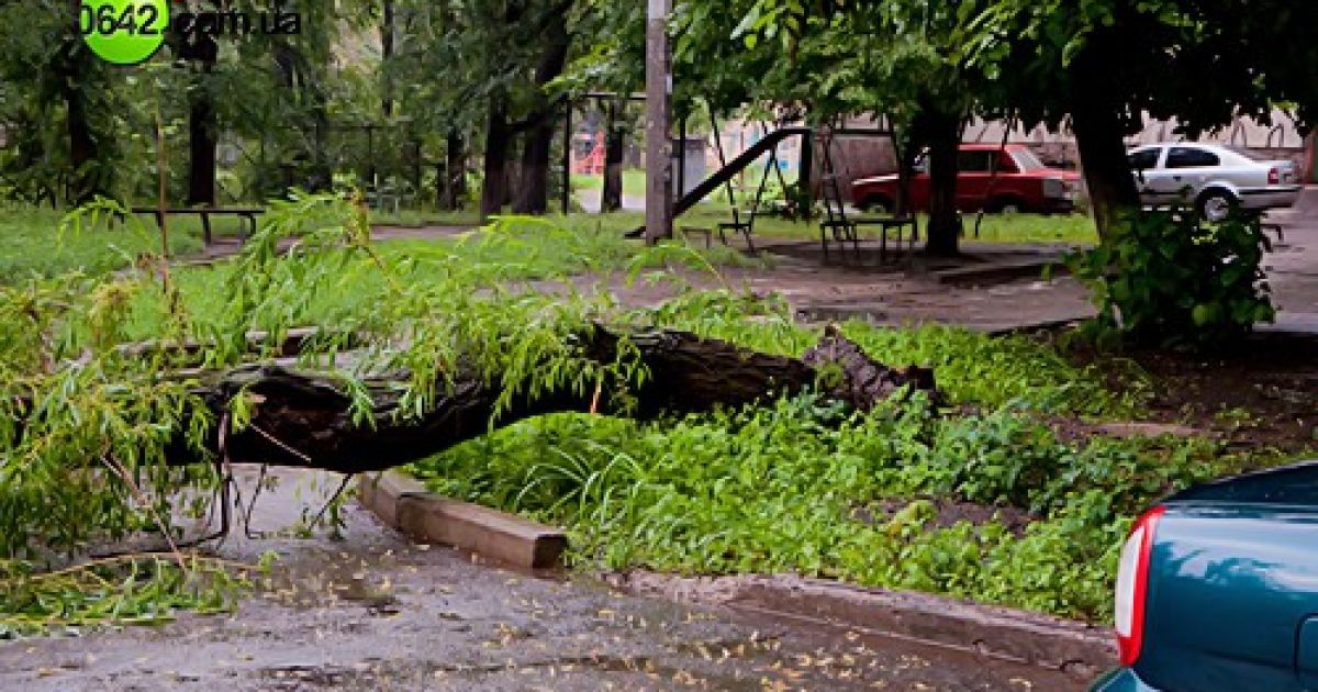 Луганськ потерпає від проливних дощів, блискавок та сильних поривів вітру. / © 0642.com.ua