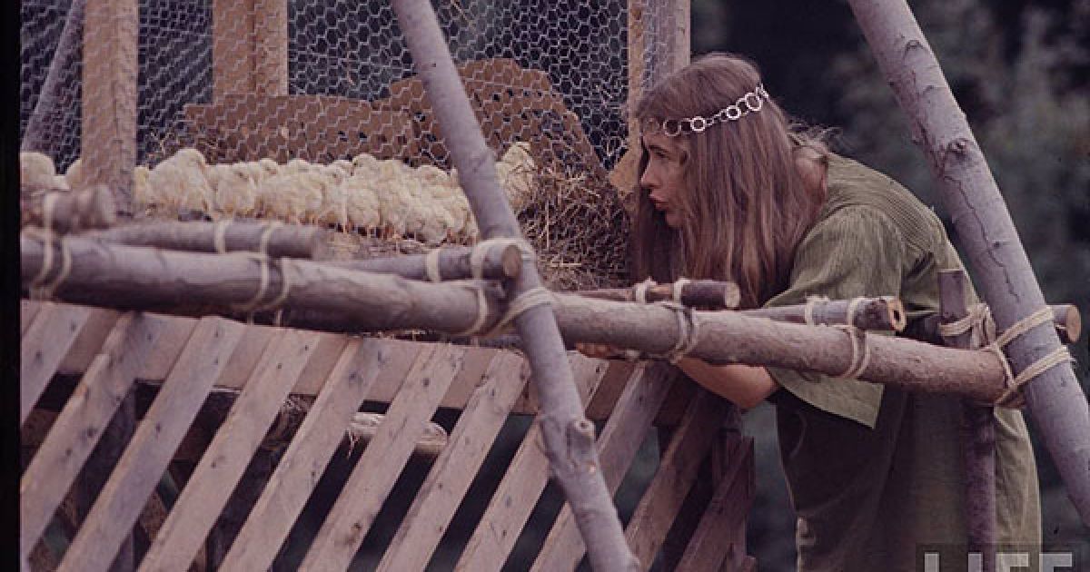 Журнал Life оприлюднив унікальні фотографії легендарного музичного фестивалю Вудсток, який відбувся у серпні 1969 року / © LIFE