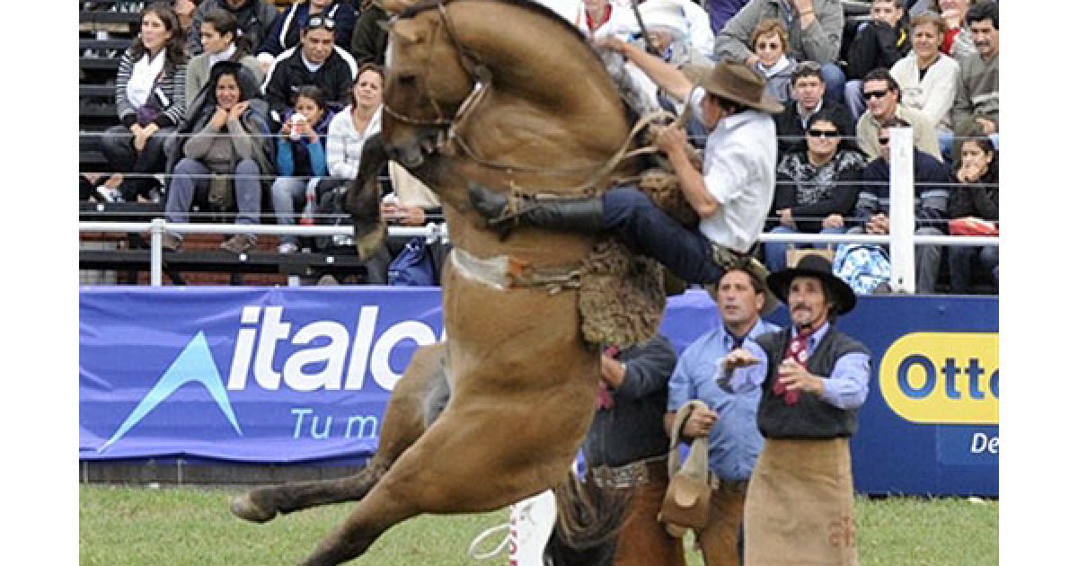 Уругвай, Монтевідео. Гаучо намагається приборкати коня під час традиційного щорічного родео у Монтевідео. / © AFP