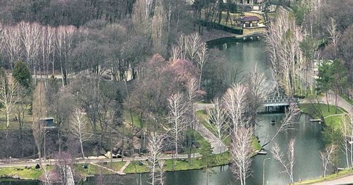 Серед сосен у резиденції Януковича є невелике озеро, береги якого вимощені каменем. / © Сегодня