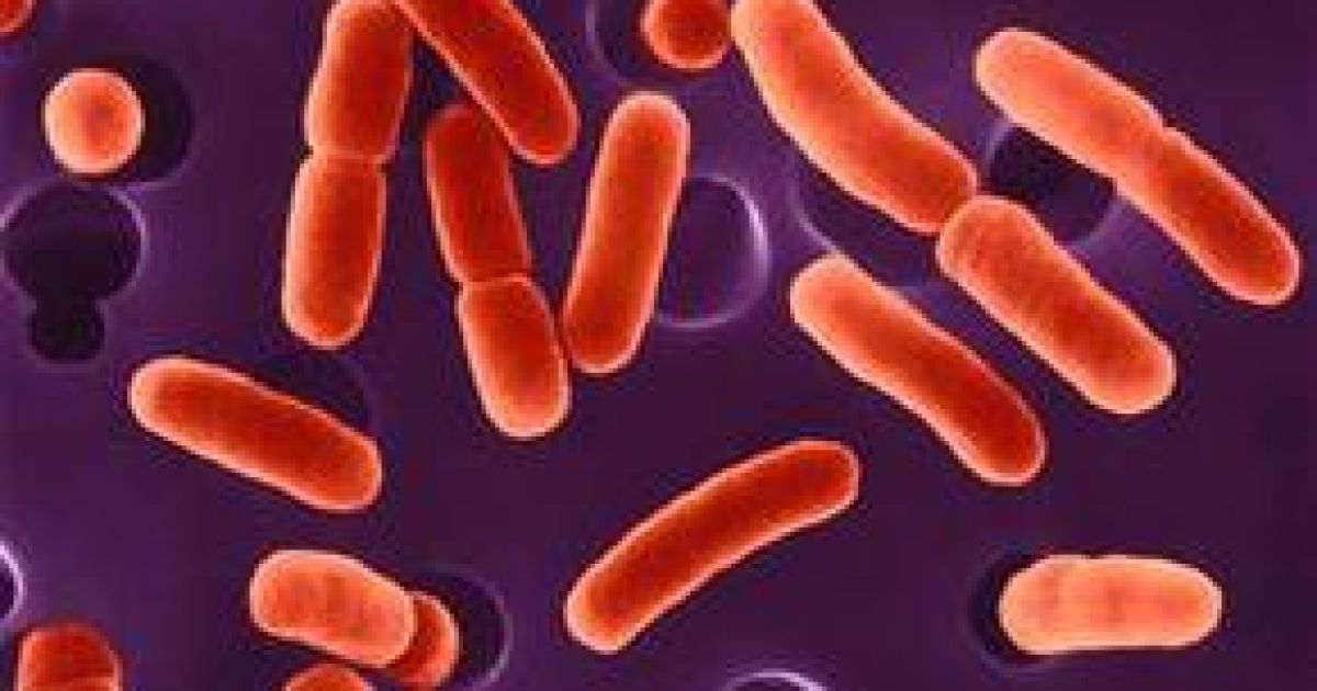 Ілюстрація