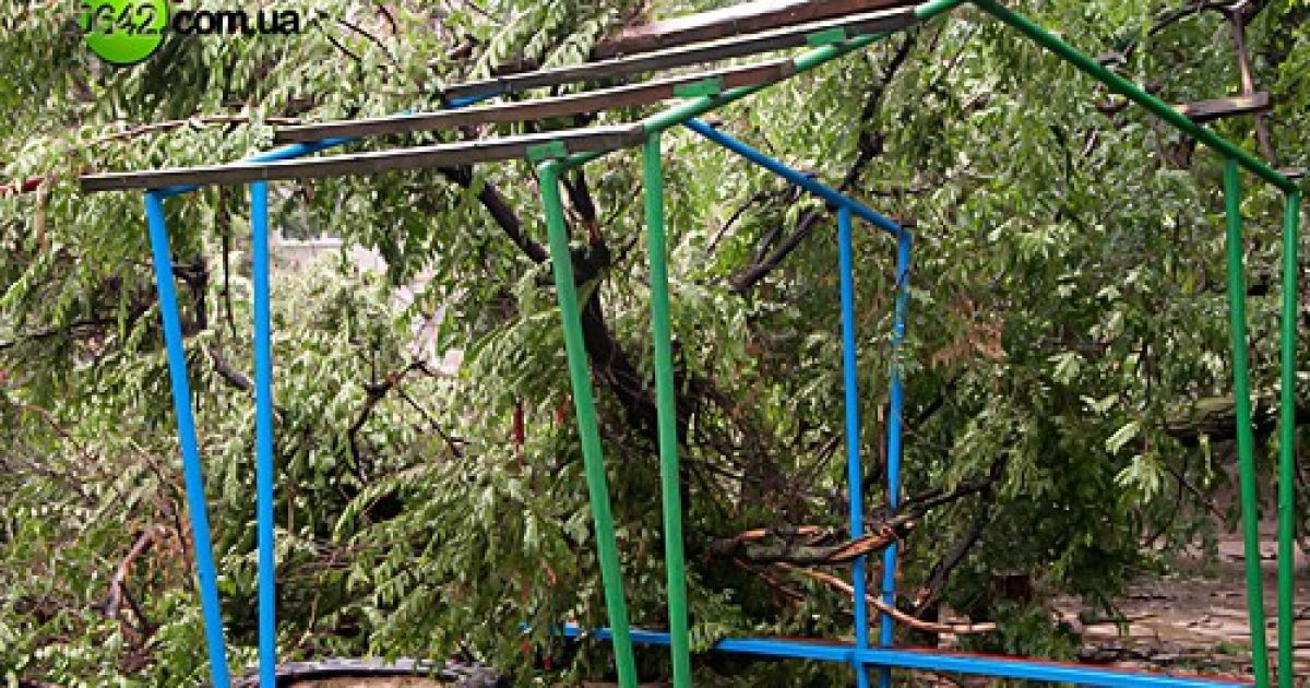 Луганськ потерпає від проливних дощів, блискавок та сильних поривів вітру. / © 0642.com.ua