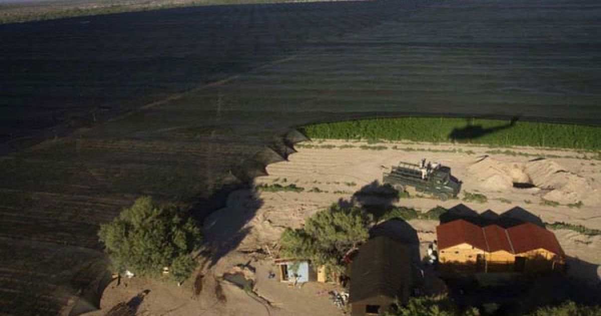 Мексиканська армія виявила поблизу кордону зі США найбільшу плантацію марихуани в історії країни, площею 120 га. / © bigpicture.ru