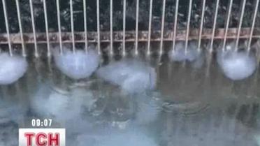 Из-за нашествия медуз возникла угроза для одной из израильских электростанций