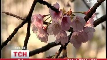 Весна попри все