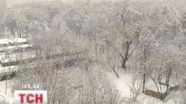 Зима и метели вернулись в Москву