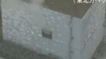 Японцев призвали отселяться из района "Фукусимы": еду им уже не поставляют