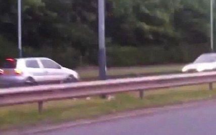 Тінейджер на Citroen для розваги влаштував перегони з поліцією по "зустрічній" (відео)