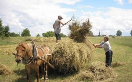 В Кабміні обіцяють сформувати середній клас селян