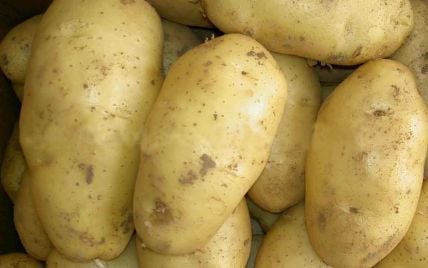 Оптовая цена картофеля подскочила посреди зимы