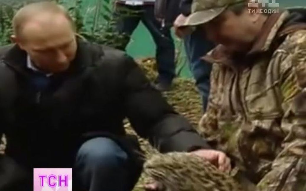 Путин в Сочи успокоил леопарда, который покусал и поцарапал журналистов / © ТСН.ua