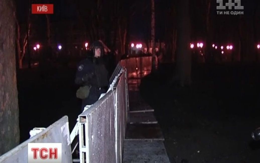 Вокруг парка вырос достаточно высокий металлический забор / © euronews.com