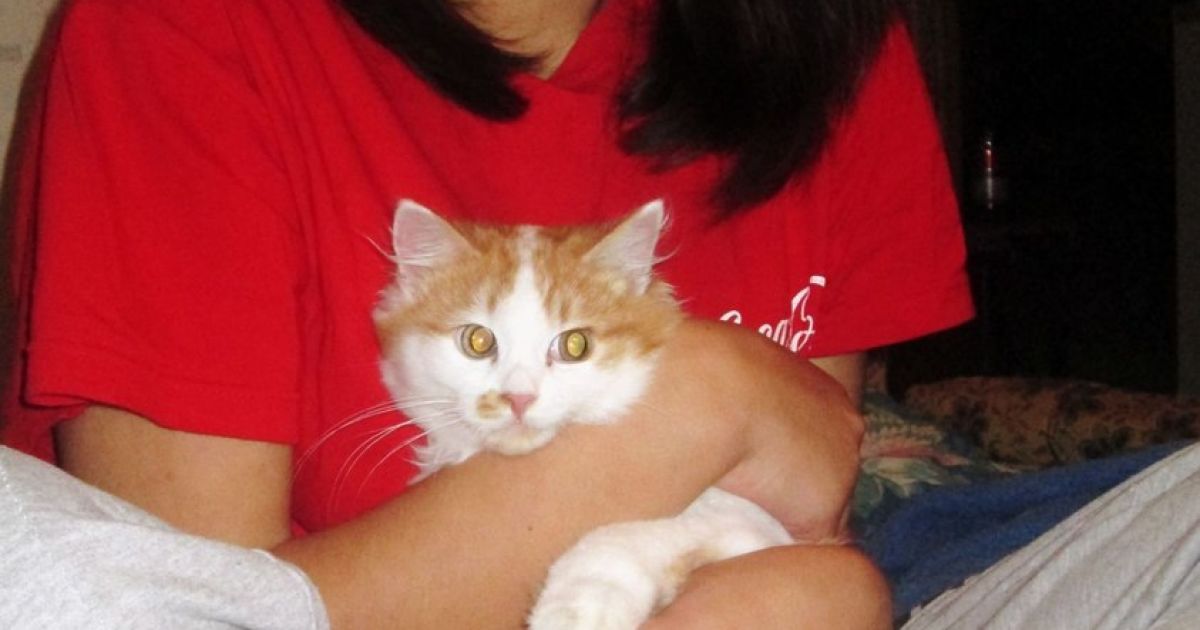 Дівчина знаходиться у реанімації