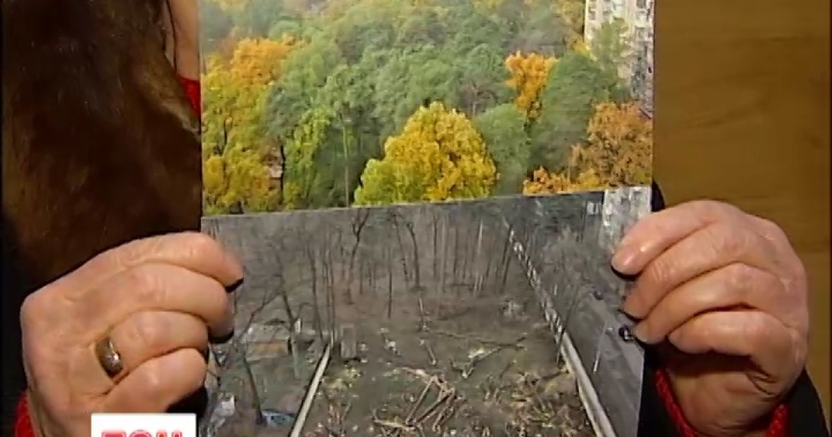 Місцеві жителі обурилися через знищення зелених насаджень