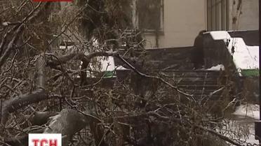 В Одесской области свирепствуют метели и сильный ветер