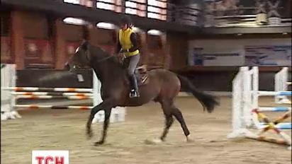 Титулованные жеребцы предвещают счастье в Новом году