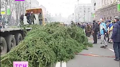 Невідомі меценати привезли на головну площу країни 14-метрову ялинку