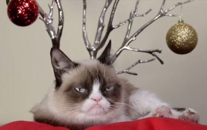 Найвідоміші котики інтернету знялися у новорічному відео