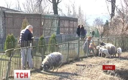 Харьковчане за сутки принесли в зоопарк 6 тонн продуктов и собрали 90 тыс. гривен