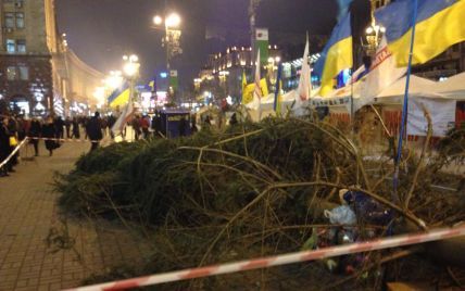 На Евромайдан из западной Украины привезли огромную новогоднюю елку