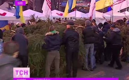 На Евромайдан привезли 14-метровую живую елку