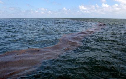 У Чорному морі з'явилася гігантська нафтова пляма