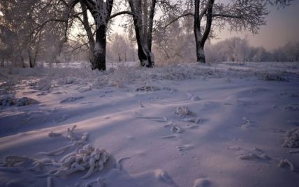 Синоптики розповіли, коли Україну накриє сильний снігопад