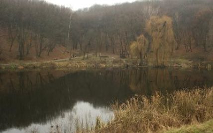 У Києві з озера виловили тіло загиблого чоловіка