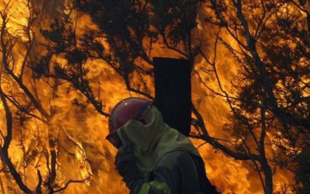 Іспанія, Капела. Пожежний гасить вогонь під час масштабної лісової пожежі у північно-західній Галіції. Вогонь знищив понад 500 га насаджень у парку дикої природи. / © AFP