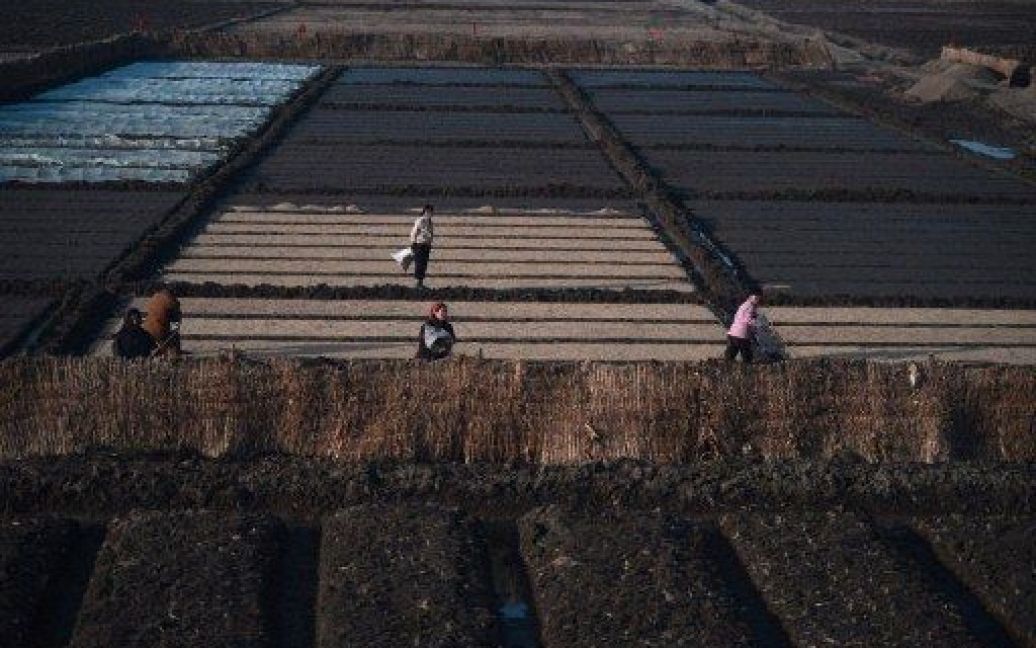Північна Корея / © AFP