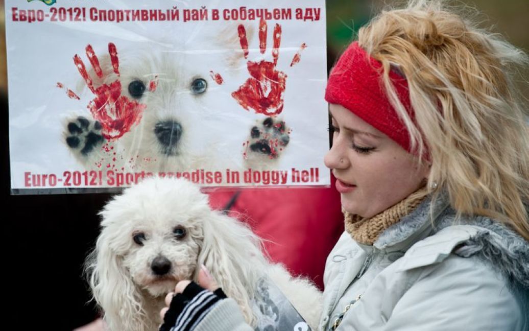 Марш проти вбивств безпритульних тварин в Україні напередодні Євро-2012. / © Євген Малолєтка/ТСН.ua