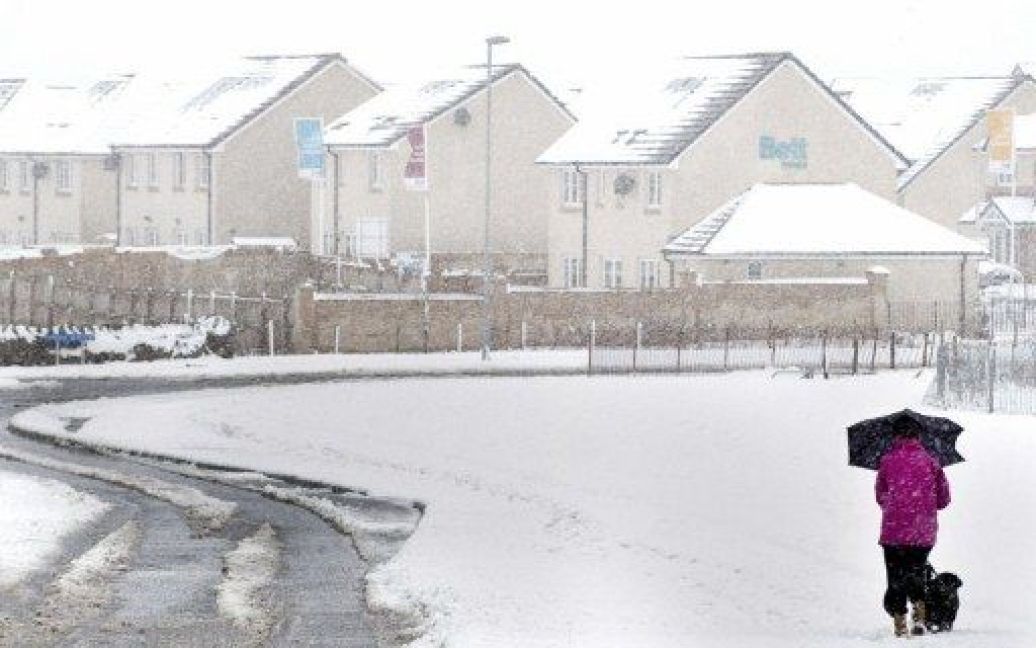 Шотландія, Вестхілл. Сильні хуртовини накрили Шотландію, в деяких районах випало близько 18 сантиметрів снігу, а температура впала до мінус 0,5 градусів за Цельсієм. Тисячі людей залишилися без електрики. / © AFP