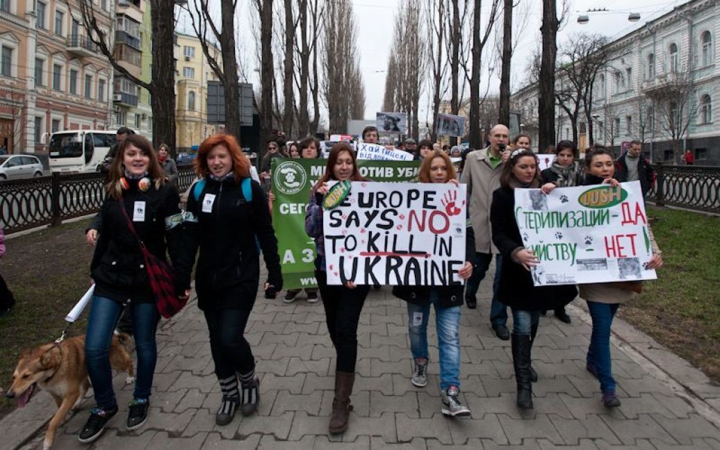 Марш проти вбивств безпритульних тварин в Україні напередодні Євро-2012. / © Євген Малолєтка/ТСН.ua
