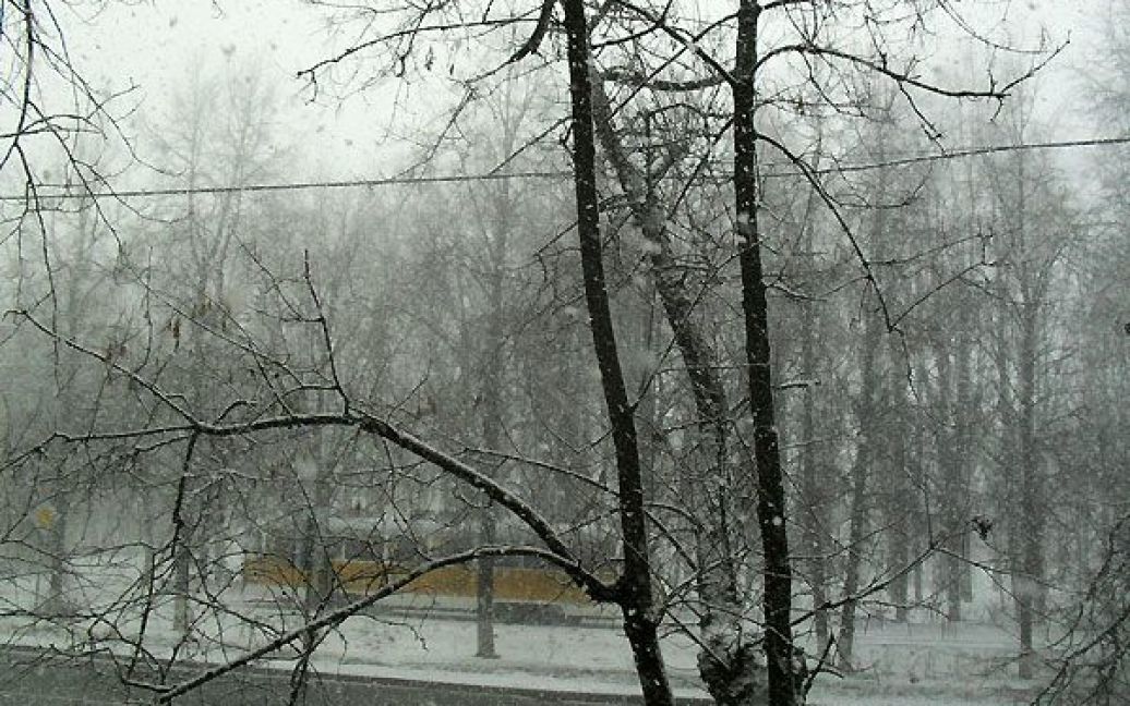 Весняну Москву засипає снігом / © Новий регіон