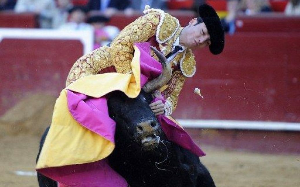Іспанія, Валенсія. Французький тореадор Томас Дюфо бореться з биком під час кориди на фестивалі Фальяс у Валенсії. / © AFP