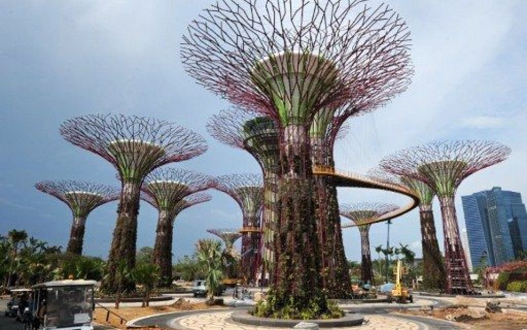 Сінгапур. Більше 220 тисяч рослин з усіх континентів висадили на 101 га садів, розташованих у баштах-хмарочосах Grove Supertrees у затоці Сингапуру. / © AFP