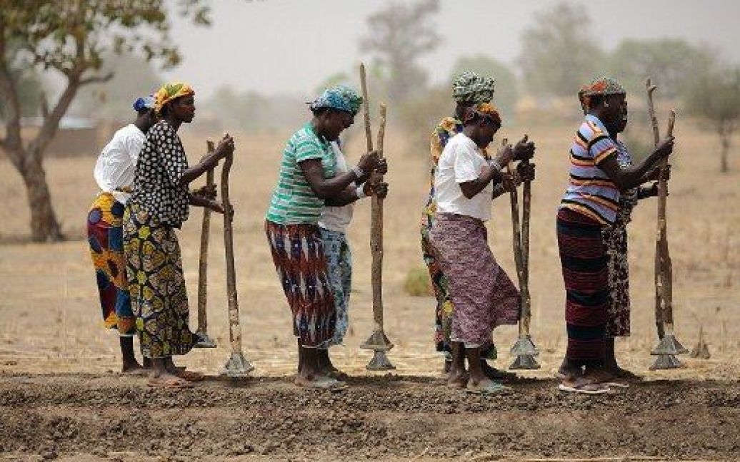 Буркіна-Фасо, Діапага. Жінки працюють у полі. Принаймні 20 мільйонам людей загрожує голод через посуху в цьому регіоні. / © AFP