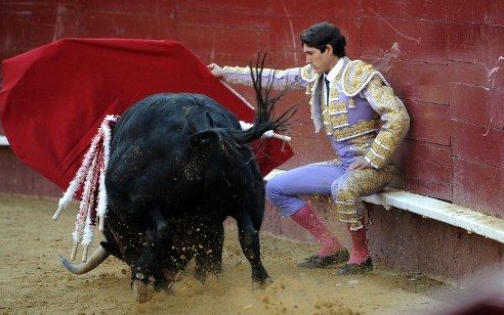 Іспанія, Валенсія. Французький тореадор Себастьян Кастелла бореться з биком під час корили на фестивалі Фальяс у Валенсії. / © AFP
