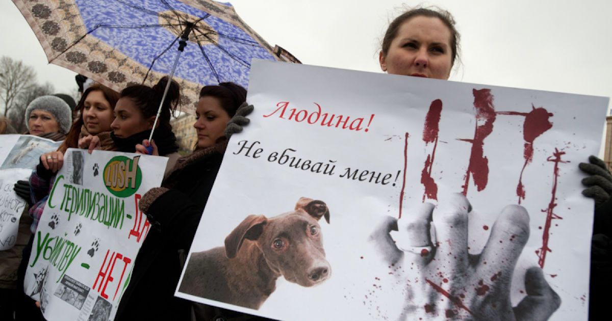 Марш проти вбивств безпритульних тварин в Україні напередодні Євро-2012.
