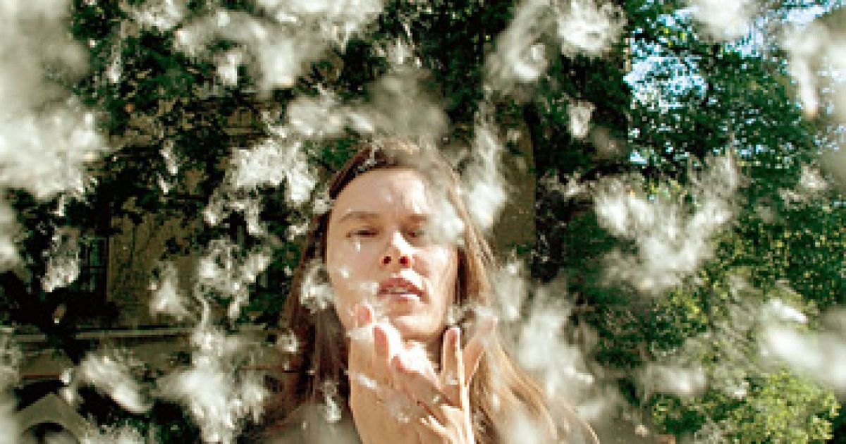 Запах тополиный. Тополь и тополиный пух. Пух тополя тополиный пух. Аллергия на тополиный пух. Аллергия на тополиный пух.