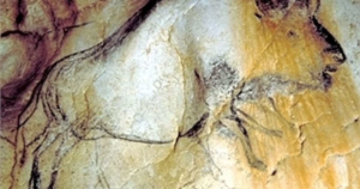 Зображення бізона з накладенням двох позицій ніг. Фото M. Azema, J. Clottes, Chauvet Cave scientific team
