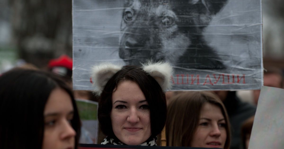 Марш проти вбивств безпритульних тварин в Україні напередодні Євро-2012.