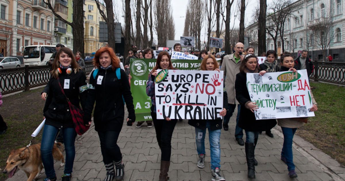 Марш проти вбивств безпритульних тварин в Україні напередодні Євро-2012.