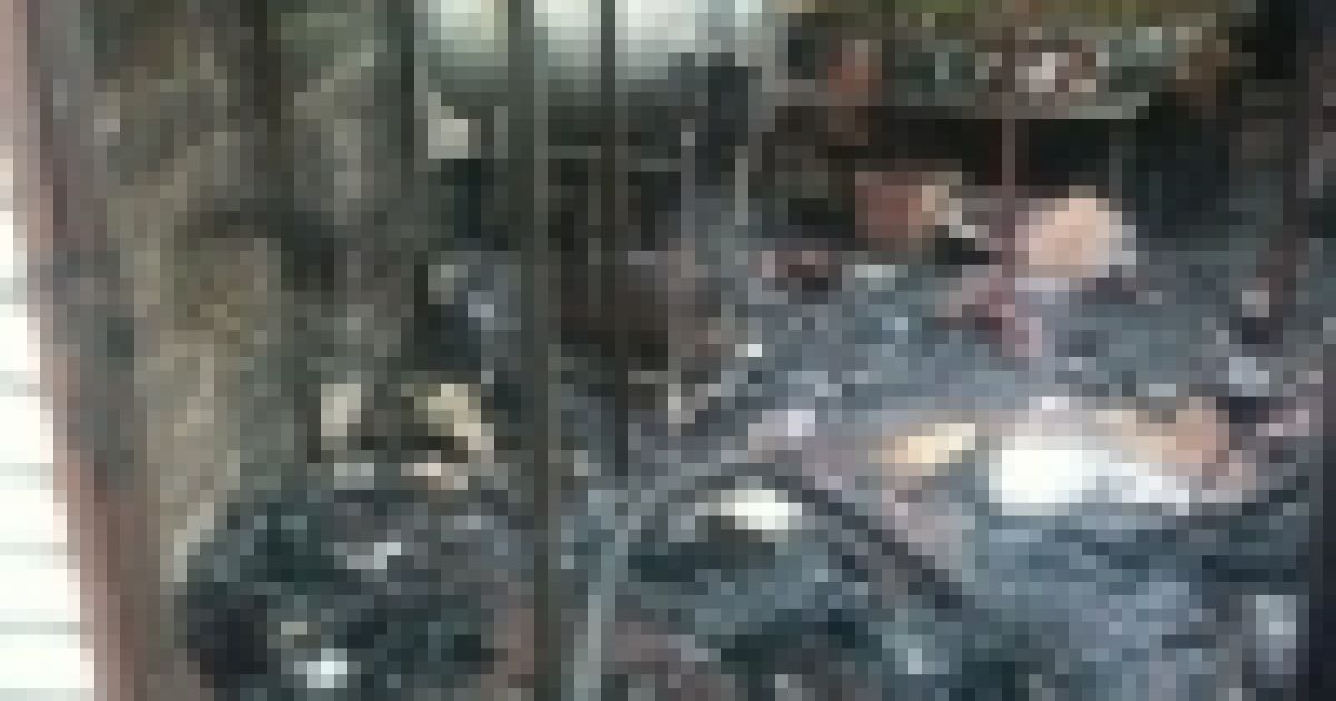 Через пожежу значно постраждала оранжерея