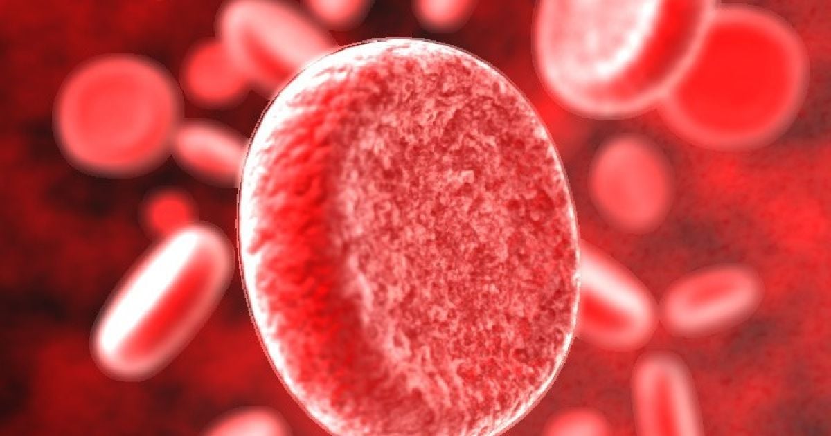 Люди з 4 групою крові найбільше ризикують дістати інфаркт