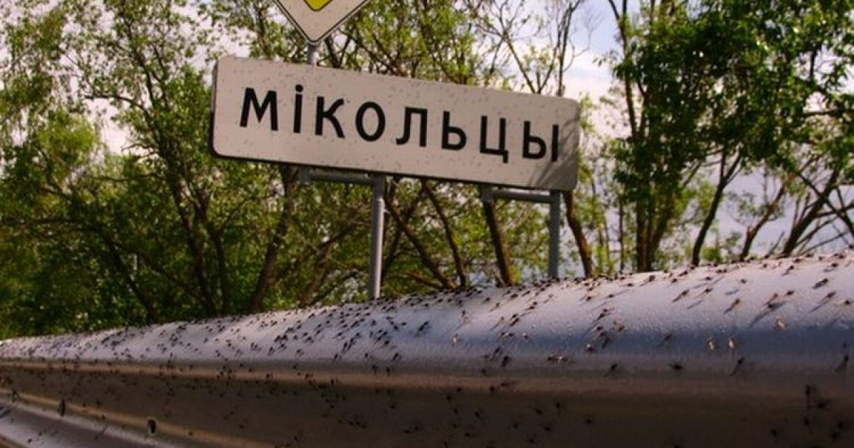 Нашестя комарів шокувало білоруське селище / © bigpicture.ru